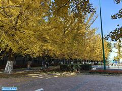 -辽东学院(南校区)