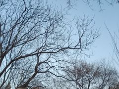 -玲珑塔公园