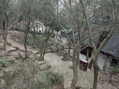 -香雪海