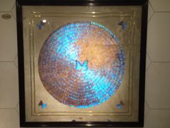 -上海昆虫博物馆