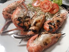 -Kat's Kitchen