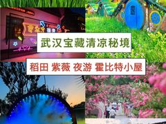 -武汉紫薇都市田园