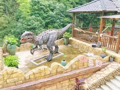 -将军关探险漂流