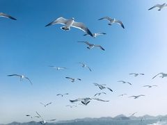 -海驴岛(荣成市)