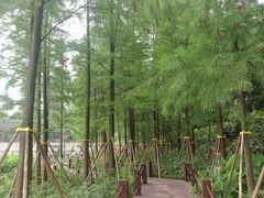 -重庆彩云湖湿地公园