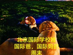 -日本大使馆-新闻文化中心