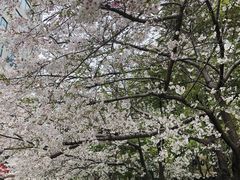-玛格萝妮比萨屋(四平店)