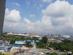 -海吉星市场