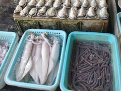 -南沙十九涌渔人码头-南门