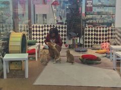 -大型宠物商超·宠海王国·宠物猫狗活体·用品·美容(新世界百货重庆店)