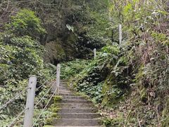 -龙窝子