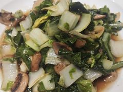 杭白菜炒口蘑-鲜得莱渔港·小平岛海胆馆(七贤岭店)