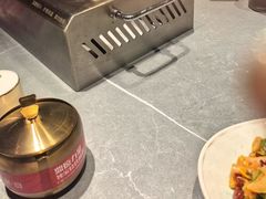 -鼎原力量东北吊炉烧烤(临河街店)