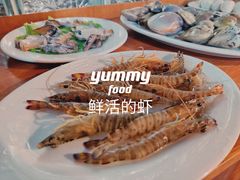 -凯华海鲜火锅·传承三十六年