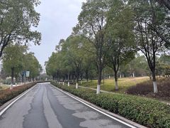 -武汉园博园(武汉自然博物馆)