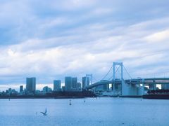 -台场海滨公园船码头