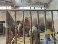 -石家庄市动物园