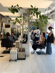 -Hair  Gallery