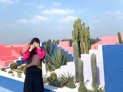 -漳州滨海火山岛自然生态风景区