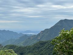 -大岭沟猕猴桃谷风景区