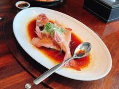 东星斑-香樟花园新粤料理(无锡万象城店)