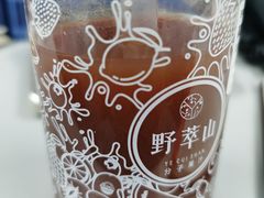 -野萃山·潮汕厚果汁(十亩地店)