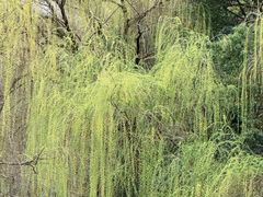 -杭州黄龙洞