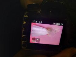 点击看大图 -巴黎新娘婚纱摄影