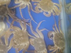 -阳澄湖大闸蟹·琼灵阁牌品牌连锁(吴中总店)