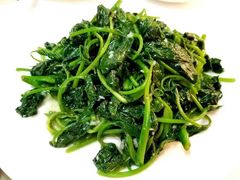 -广州塔晖粤轩中餐厅