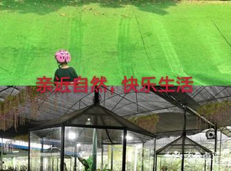 假期到啦，有什么比出门游玩更能让人心情愉悦的呢