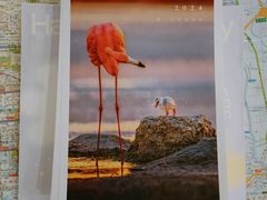 -好利来(鲁谷店)