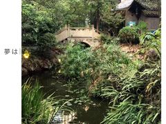 -大妙火锅·非物质文化遗产(东湖公园店)