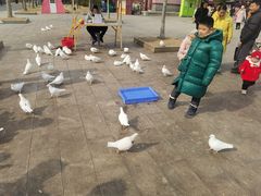 -祥源·阜阳生态乐园