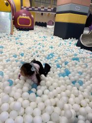 -MELAND CLUB亲子乐园·派对·餐厅(北京芳圆里ID MALL店)