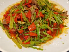 -同济大酒店(绿宝广场店)