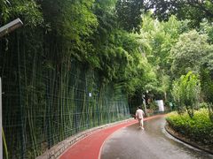 -西安市长乐公园