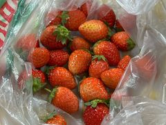 -南坛综合农贸市场