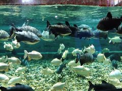 -成都浩海立方海洋公园