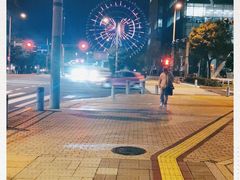 -台场海滨公园船码头