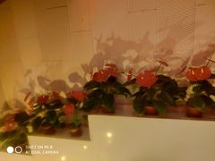 -紫莲花足道(柯桥古镇店)