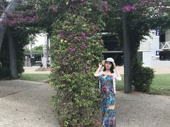 -布里斯班南岸公园