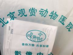 -北京观赏动物医院·24小时大型综合·猫专科·异宠专科