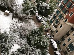 -徐虹华庭
