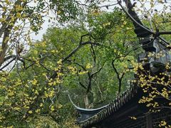 -上海醉白池公园