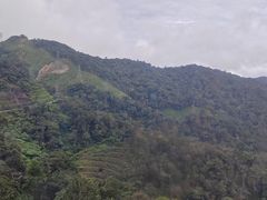 -云顶高原