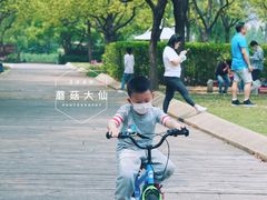 -新江湾城公园