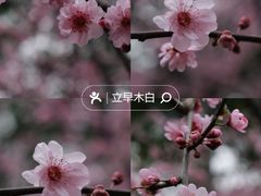 -静安雕塑公园