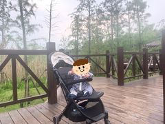 -同里国家湿地公园