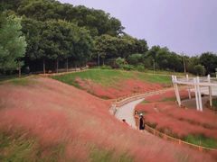 -牛岗山公园